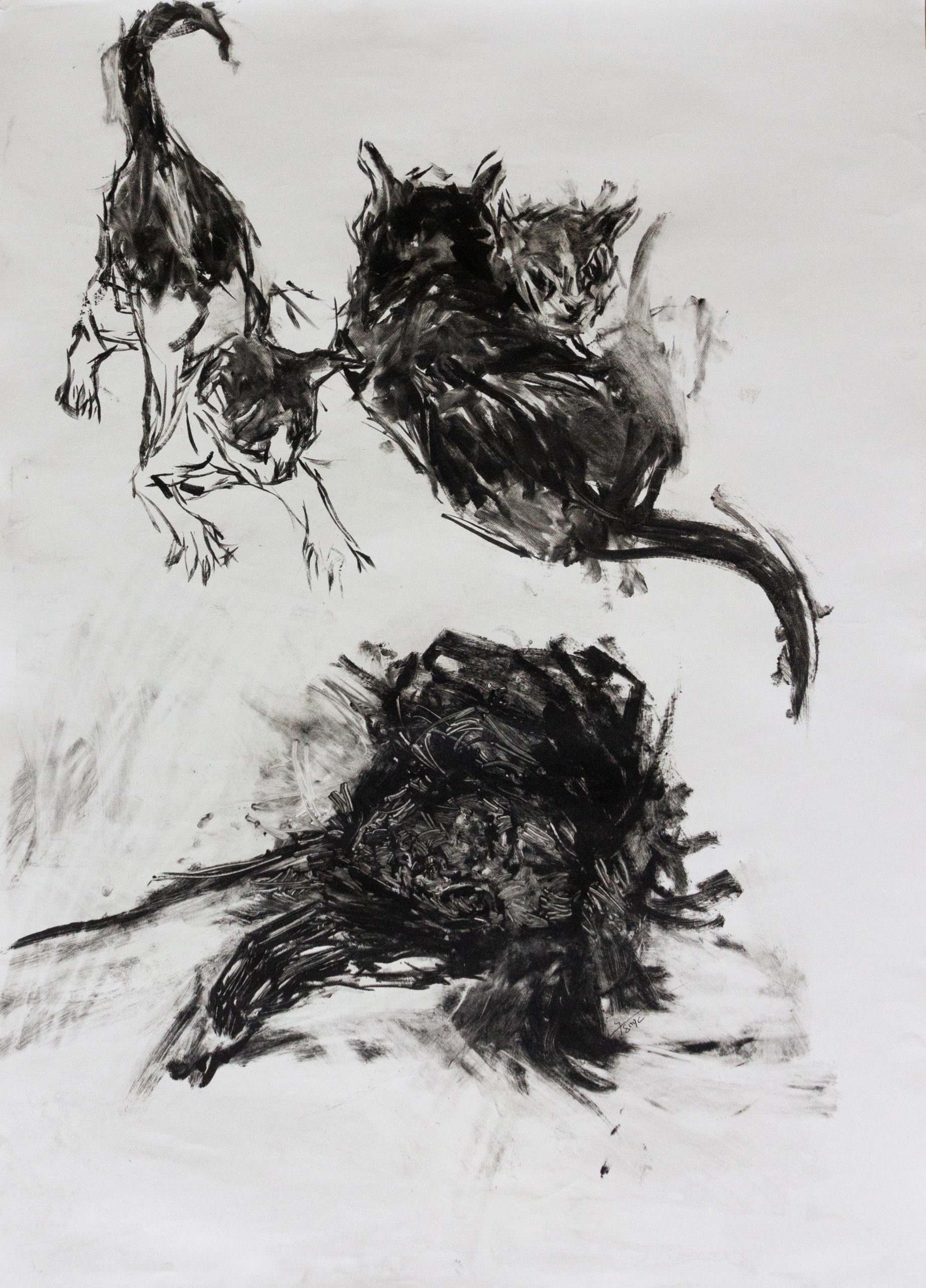 Tiemar Tegene_Paper III_2024_Monoprint on paper_70x100cm