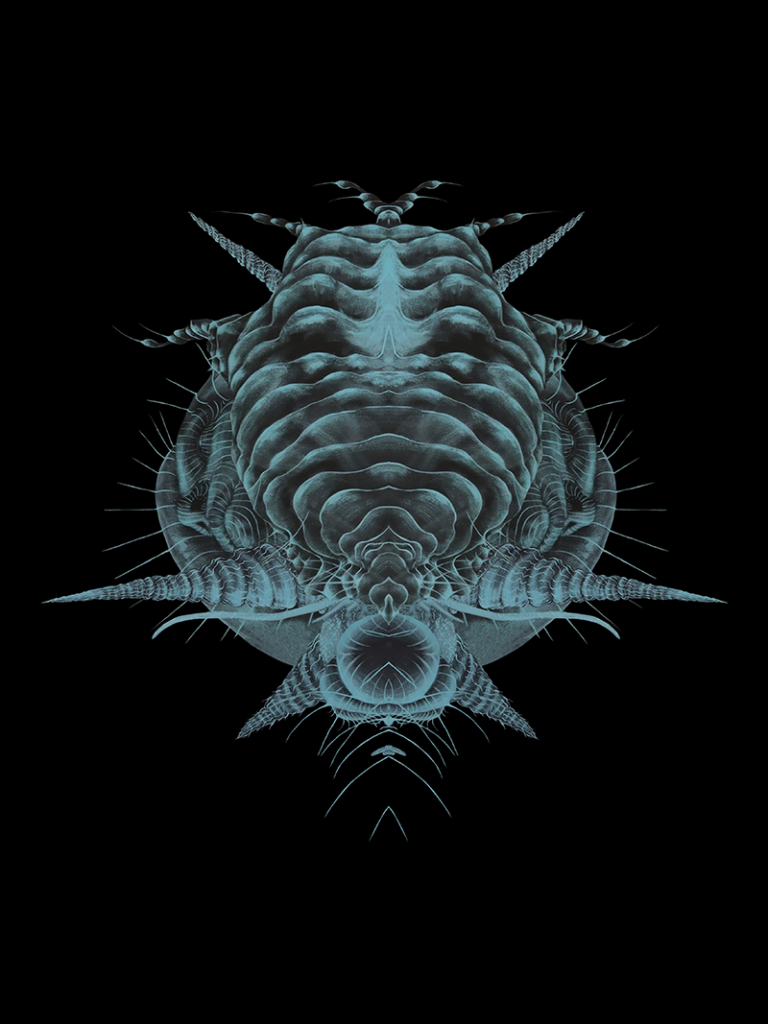 Simetries4_small