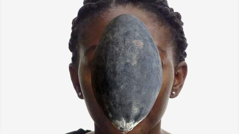 photo_baobab02