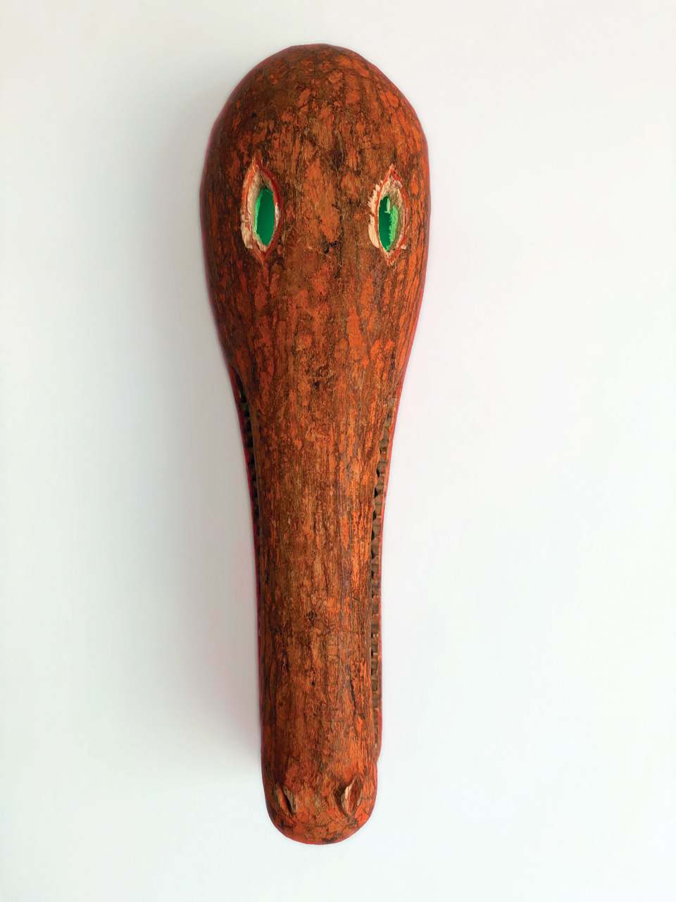 Crocodile